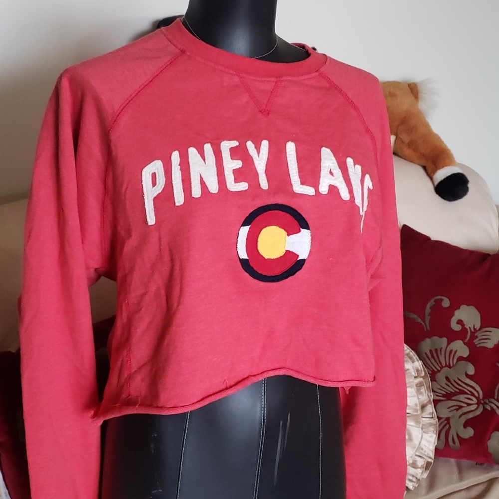 Legacy cropped top